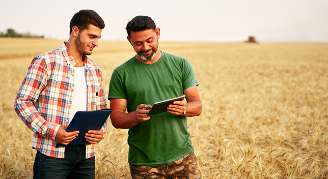 A photo of two casually dressed people discussing a tablet held by one of them, standing in a field of golden wheat