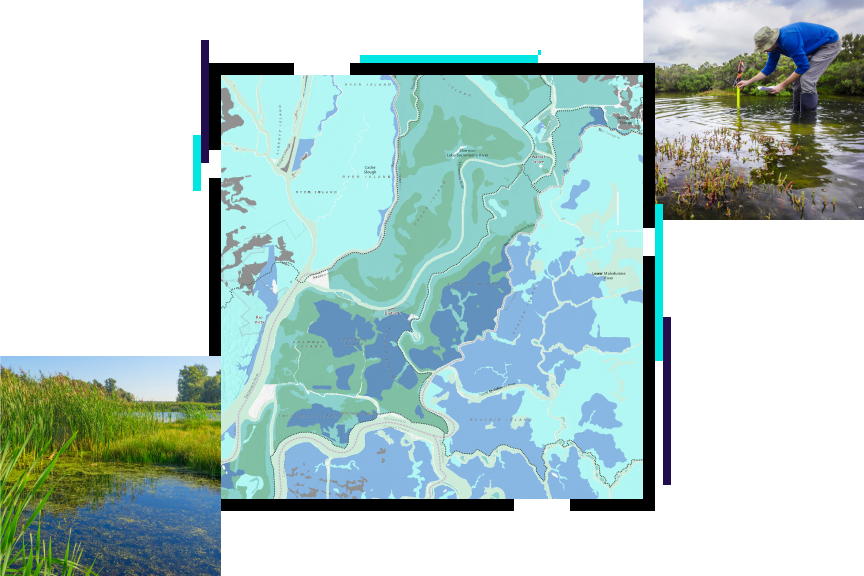 A blue contour map overlaid with a photos of a marshland and a researcher standing in shallow water measuring water levels