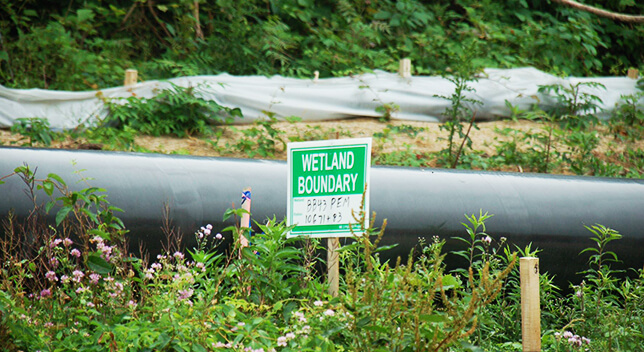 A green sign that reads “Wetland Boundary” in front of a pipeline